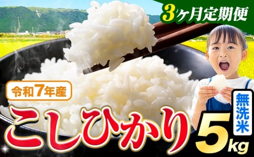 【3ヶ月定期便】令和7年産 新米 無洗米 こしひかり 5kg《お申込みの翌月出荷》熊本県産 ふるさと納税 無洗米 精米 ひの 米 こめ ふるさとのうぜい コシヒカリ コメ お米 おこめ