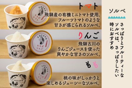 飛騨のジェラート ソルベ 6個入り詰め合わせ 野菜 スイーツ ヘルシー アイス アイスクリーム ギフト プレゼント 誕生日祝い 国産野菜 カカポ[Q773]