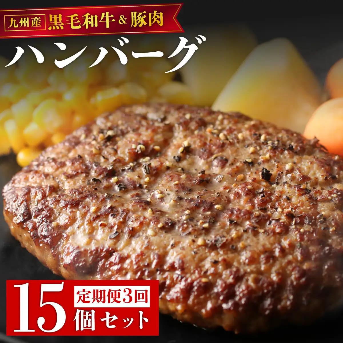 ＜定期便・全3回＞九州産黒毛和牛と九州産豚肉 ハンバーグ 15個セット