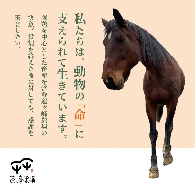 引退馬 飼育支援：寄付金額10,000円（返礼品なし）