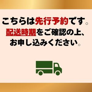 【2026年先行受付】 シャインマスカット 晴王 秀品 特大 約2kg 2房 岡山県産 ぶどう 葡萄 ブドウ ギフト 御礼 プレゼント 御礼 御祝 御供 果物 くだもの フルーツ