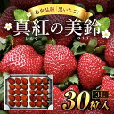 【ふるさと納税】【先行予約/2024年12月配送開始】希少品種 黒いちご 真紅の美鈴 3L30粒入り／ 真紅の美鈴 苺 粒 濃厚 果汁 希少 しんくのみすず いちご イチゴ 美味しい 贈答 ギフト お取り寄せ 送料無料 千葉県 SMAN002