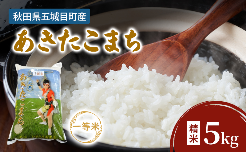 JAあきた湖東 五城目産 一等米 あきたこまち 5kg 精米 秋田県産 お米 ご飯 ライス rice【配達不可：沖縄・離島】