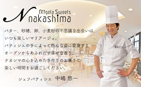 濃厚なのに優しい口当たり『新潟ふわとろチーズ』 9個入り 1箱 レアチーズとスフレチーズケーキのいいとこどりの美味しさ 優しい味わい ギフトにもおすすめ 新潟県 糸魚川市 ナカシマ 新感覚のチーズケー
