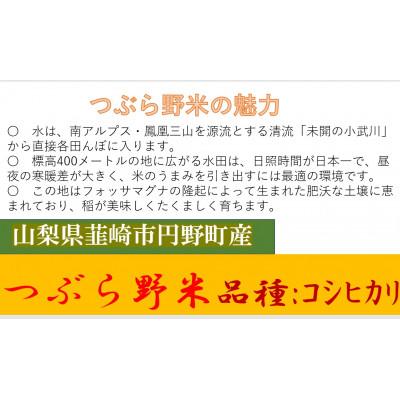 ふるさと納税 韮崎市 【毎月定期便】つぶら野米(品種:コシヒカリ)　白米5kg　3ヶ月合計15kg　全3回 |  | 01