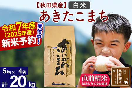 ※令和7年産 新米予約※秋田県産 あきたこまち 20kg【白米】(5kg小分け袋)【1回のみお届け】2025年産 お届け時期選べる お米 藤岡農産