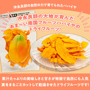 【W051-007u】【先行受付】沖永良部島の甘くて美味しい無添加ドライフルーツ（パパイヤ）30ｇ×３袋