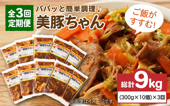 
            【全3回定期便】 美豚ちゃん 300g×10個 セット  五島市/長崎フードサービス [PEL014] 簡単 調理 豚肉 豚 レトルト パック 小分け 国産 焼肉 加工 肉 レトルト 簡単 おかず
          