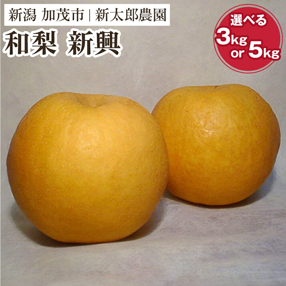【ふるさと納税】【2025年先行予約】和梨 新興 選べる「3kg」 or「 5kg」 《10月下旬から順次発送》 果物 フルーツ 梨 和梨 デザート 加茂市 新太郎農園