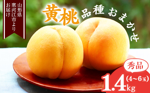 《先行予約》令和8年産 山形の黄桃 秀品 1.4kg（4 - 6玉） 品種おまかせ 2026年産 山形県産 【2026年8月中旬頃から9月下旬頃発送予定】※ 配送不可 沖縄・離島　011-B-MM071