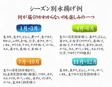 鮮魚セット(1～2人用) 下処理済み 朝獲れ直送 三陸 旬 冷蔵 刺身 海藻 貝 鮮魚 お魚