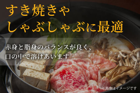 信州高原和牛 リブロース 800g (400g×2) すき焼き しゃぶしゃぶ 国産黒毛和牛