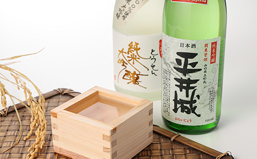 【藤岡地酒 松屋B】手造りとうせん純米大吟醸+平井城純米吟醸　720ml 2本【1390218】