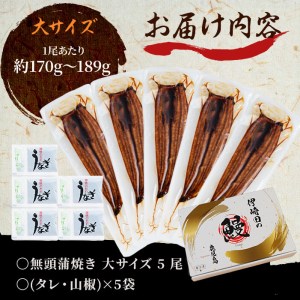 鹿児島県産 伊崎田のうなぎ蒲焼 大＜170g以上＞× 5尾(計850g以上) c2-001