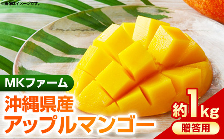 【先行受付】【2026年発送】MKファームの贈答用アップルマンゴー約1kg【贈答用】- 贈答用 ギフト 先行予約 沖縄県産 産地直送 南国フルーツ 旬の味覚 アップルマンゴー オススメ 沖縄県 八重瀬町