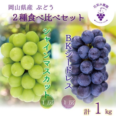 岡山　花笑み農園『シャインマスカット＆BKシードレス』1kg(2房)BS-1　【9月下旬～順次発送】【配送不可地域：離島】【1628317】