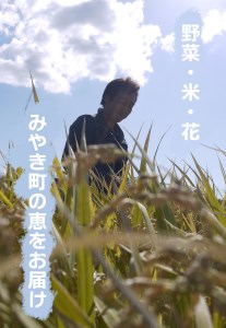CC004_【6回定期便】かずちゃんの朝採り新鮮野菜セット隔月6回お届け みやき町産