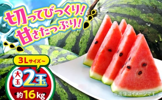 【2026年 先行予約】【数量限定】大玉すいか 3L以上 2玉入り 約16kg【日本フルーツ株式会社】 [AYDA009]