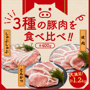 天元豚 よくばり詰合せセット 計1.2kg 豚肉 しゃぶしゃぶ 焼肉 とんかつ 食べ比べ 詰め合わせ 便利 小分け ブランド豚 安全 ヘルシー ポーク 低カロリー おかず お取り寄せ 送料無料 東北 