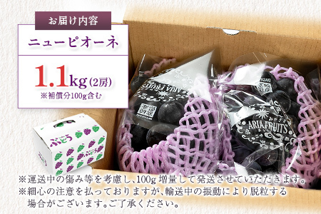 ぶどう ニューピオーネ 1kg+100g補償付 果物 フルーツ B683
