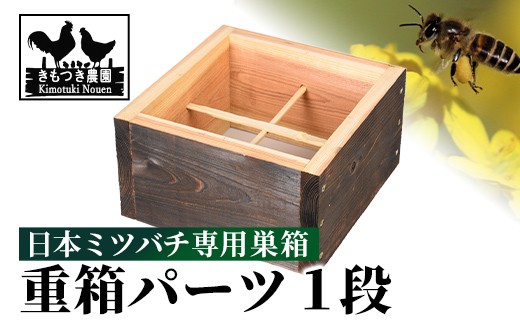 
                  P98004 日本ミツバチ用 重箱(1段) 飼育箱 完成品 ボックス 箱 杉材 木箱 日本 ミツバチ 飼育 巣箱 蜂 蜂蜜 ハチミツ 養蜂 日本みつばち 木工品 観察 組立品 自然 国産  【きもつき農園】
                