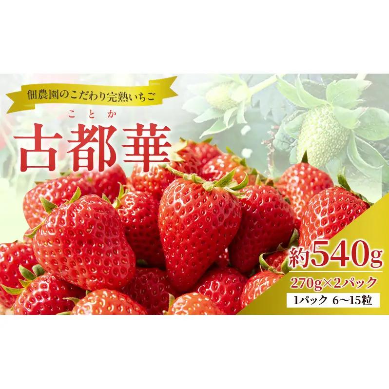 いちご 完熟 古都華 佃農園 奈良県産 いちご【約540g 270g×2パック】【冷蔵 先行予約】
