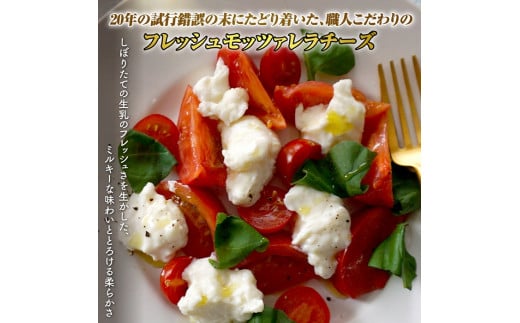 モッツァレラチーズ6個入セット（冷凍）