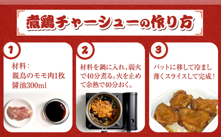 笠岡ラーメン 14食入　煮鶏チャーシューのレシピ付 ラーメン