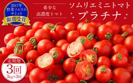 【年3回定期便／2026年1月発送開始】 ソムリエ ミニトマト プラチナ 3kg×3回 合計9kg とまと トマト 野菜 やさい 熊本県産 国産 