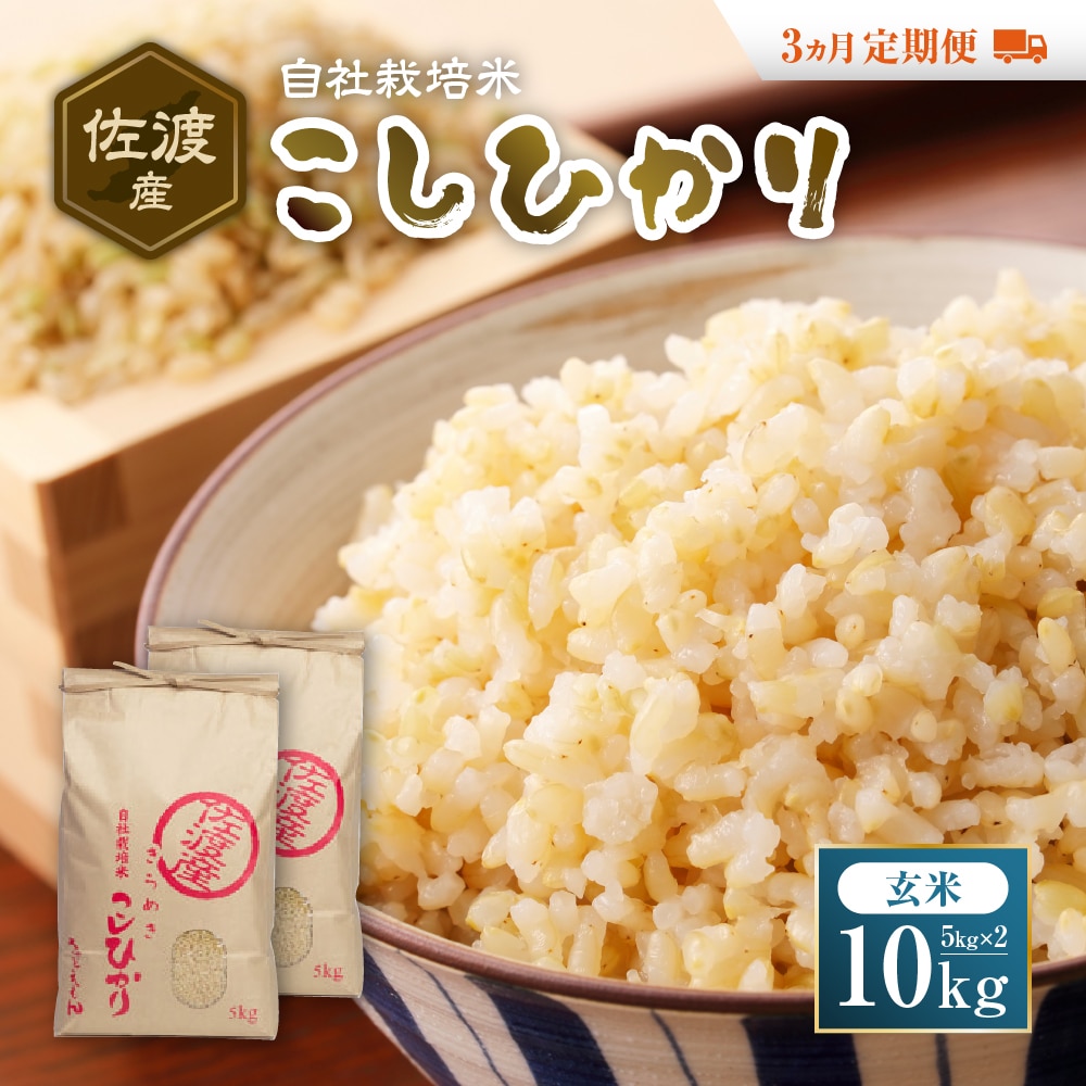 自社栽培米佐渡産こしひかり（玄米10kg）３カ月定期便