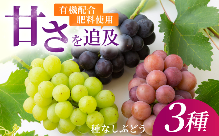 
            【先行予約】有機配合肥料使用 種なし 加温ハウスぶどう 3種 セット 【2026年7月下旬～8月上旬より順次発送予定】 【春光園】 ぶどう ブドウ 葡萄 果物 フルーツ 詰め合わせ 福岡県 うきは市 冷蔵
          