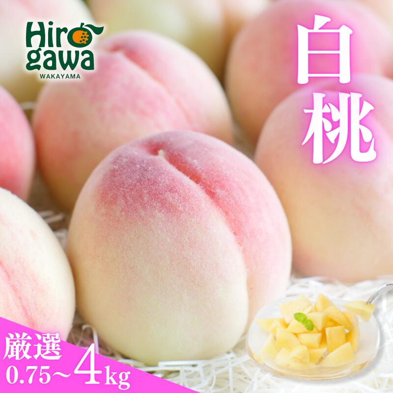 【ふるさと納税】 桃 厳選 / 白桃 もも 甘い 高級 和歌山 2kg 4kg 7000円 ※7月上旬～8月中旬に順次発送 ※北海道・沖縄・離島への配送不可 //hokaf