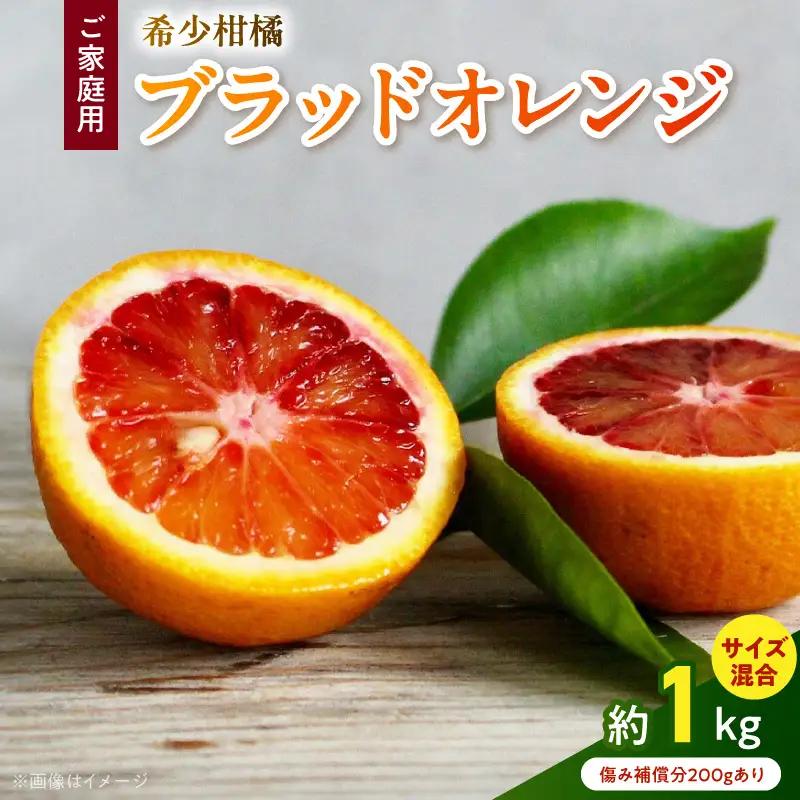 【直営限定】《先行予約・2026年3月～発送》希少柑橘 ご家庭用 ブラッドオレンジ　サイズ混合/ご家庭用/1kg(傷み補償200g)_AB7374_Y