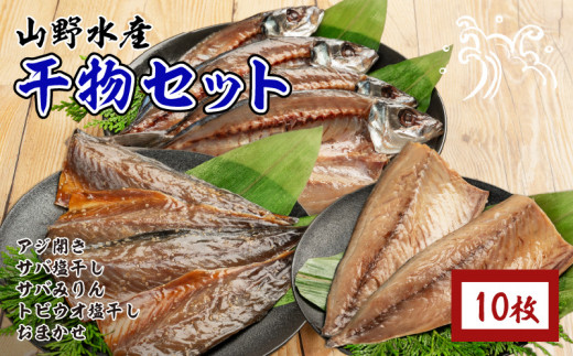 山野水産 干物 セット 合計10枚 詰め合わせ 簡単調理 魚 魚介 加工品 食品 惣菜 おかず おつまみ 塩干し みりん干し アジ開き サバ トビウオ ひもの おすすめ 海産物 海鮮 水産加工品 ギフト 国産 宮崎県 日南市 送料無料_B232-24