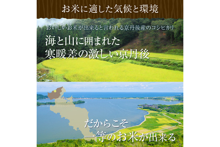 令和7年産 美白精米 丹後こしひかり 5kg 1等米