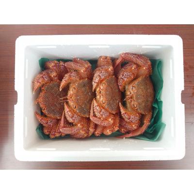 ふるさと納税 陸前高田市 生きたまま発送 毛ガニ 約300g×4匹 陸前高田市産 かに カニ 蟹 活毛ガニ 新鮮 濃厚 天然 |  | 01