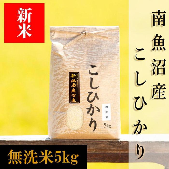 【ふるさと納税】【令和8年産 新米予約】南魚沼産コシヒカリ（無洗米）【5kg】【銘柄米 ブランド米 無洗米 こしひかり コシヒカリ 魚沼産 新潟米 産地直送 お米 米 こめ コメ ご飯 御飯 ごはん】【2026年10月上旬から1ヶ月以内に順次発送予定】