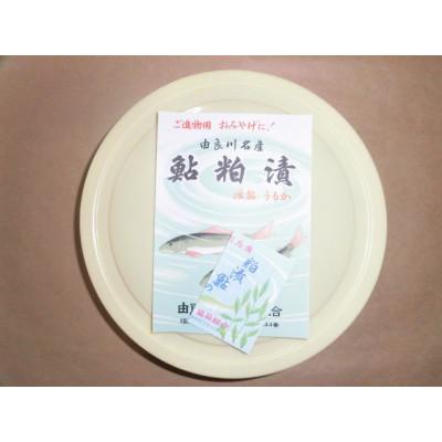 ふるさと納税 福知山市 由良川天然あゆの粕漬
