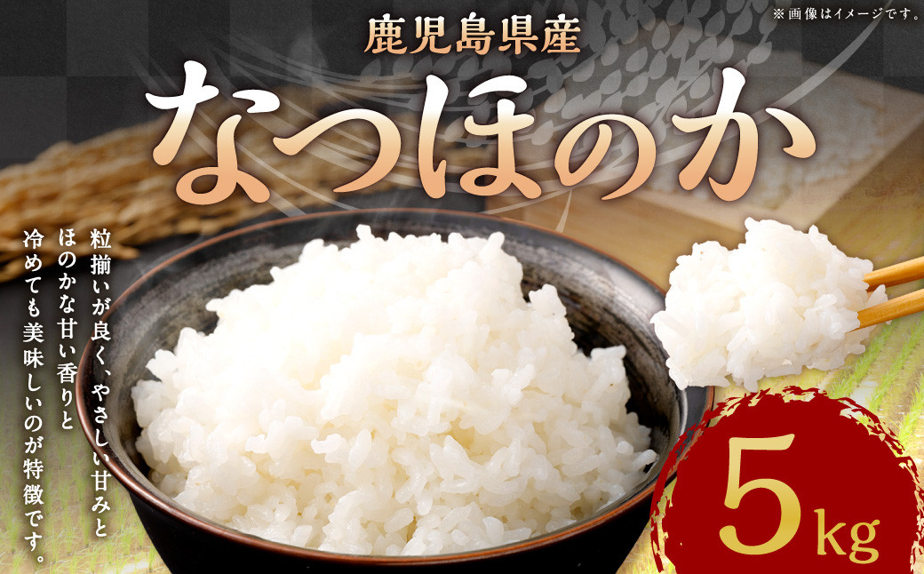 
            AS-481 【新米先行予約】【KODAMAFARMS】鹿児島県産 なつほのか 5kg KODA米 【2025年9月中旬以降順次発送】 精米 米 お米
          