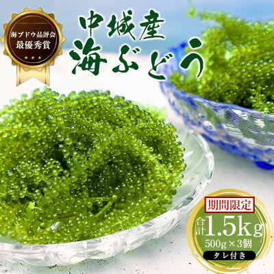【ふるさと納税】【沖縄から産地直送】県産海ぶどう品評会最優秀賞受賞!ちゅら海ぶどう1.5kg(500g×3箱)【1674922】