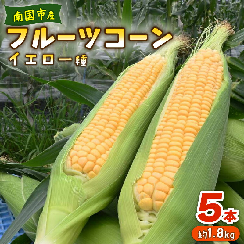 【ふるさと納税】 先行予約 とうもろこし スイートコーン イエロー種 約 1.8kg 5本 2026年5月～6月発送予定 期間限定 数量限定 産地直送トウモロコシ フルーツコーン スイート コーン ゴールドラッシュネオ他3品種 国産 甘い 人気 ギフト 贈答 高知県 南国市 農園けんぴ