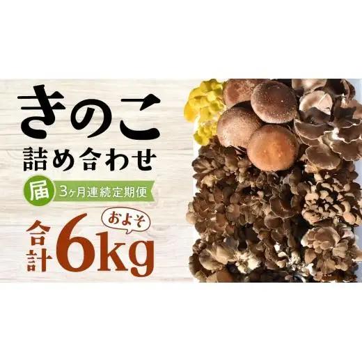 【 3ヶ月連続定期便 】きのこ の 詰め合わせ Lサイズ ( 約2kg ) （茨城県共通返礼品：城里町）