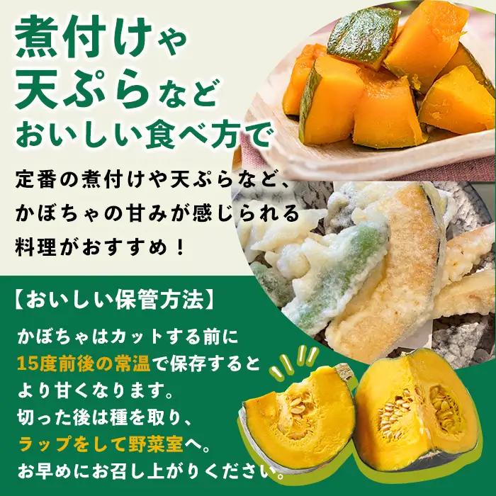 北海道 士別産 かぼちゃ ブラックのジョー 6kg 9月下旬以降準備ができ次第発送【吉方農園】 A7142