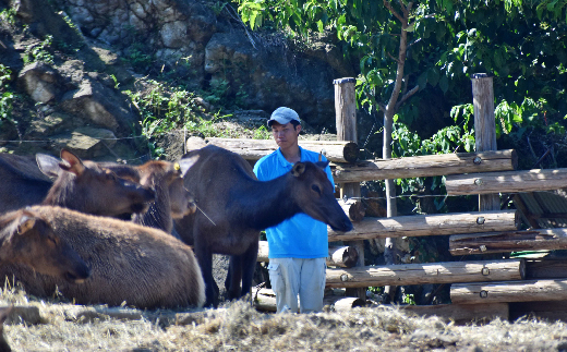 【群馬サファリパーク】プライベートツアー(3名様)