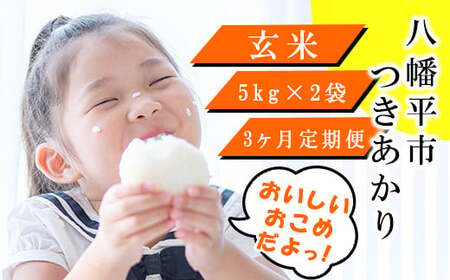 【2024年11月発送開始】 令和6年産 新米 岩手県産 つきあかり 玄米 10kg（5kg×2袋）×3ヶ月定期便 ／ 米 産地直送 農家直送 【中沢農産】