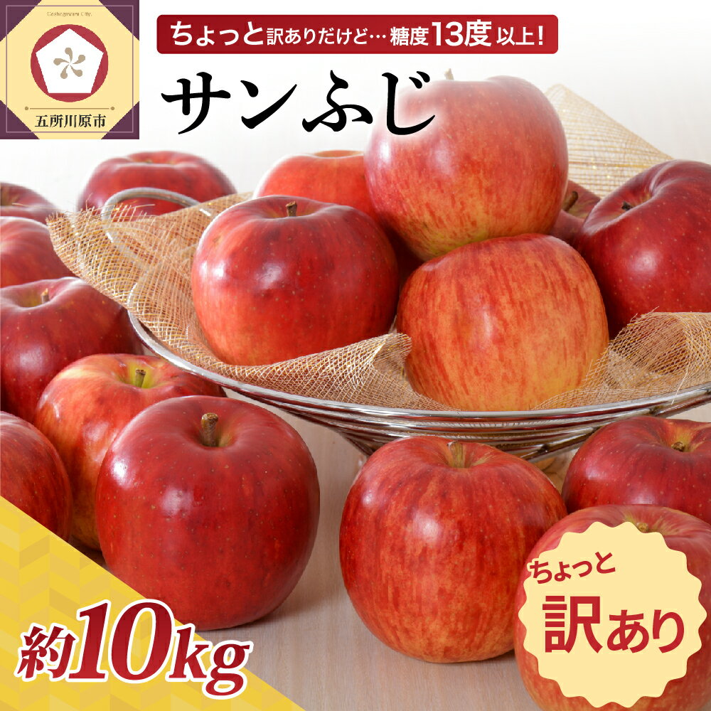 【ふるさと納税】【 2025年 先行予約 】★レビュー高評価★【 訳あり 】 サンふじ 10kg ( 配送時期が選べる 11月～3月 ) / りんご 林檎 アップル 10キロ 不揃い 規格外 果物 くだもの フルーツ 秋 旬 常温保存 青森県 五所川原市