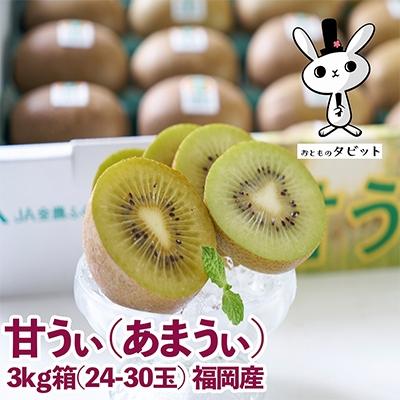 ふるさと納税 太宰府市 【太宰府】福岡限定!ブランドキウイ「甘うぃ(あまうぃ)」約3kg箱(24-30玉)