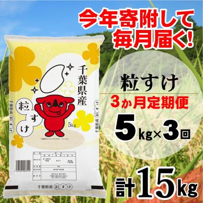 ふるさと納税 大網白里市 【毎月定期便】粒すけ 精米 5kg (5kg×1袋)全3回