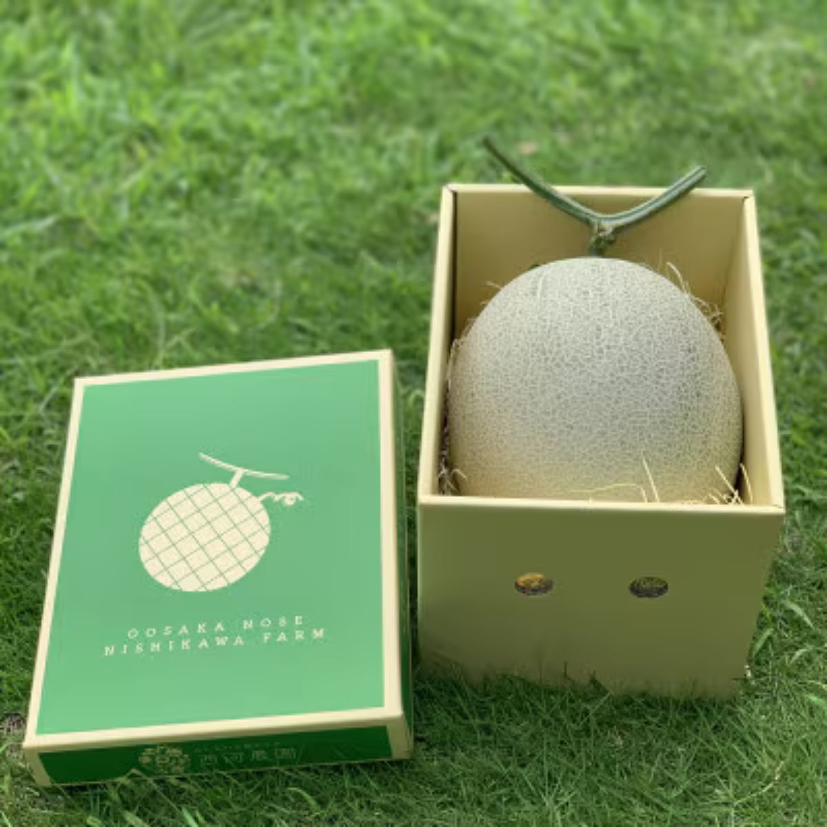 【ふるさと納税】令和8年8月上旬発送予定!　大阪府能勢町産　赤肉メロン『マリアージュ』1玉【1344141】