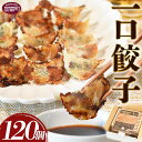 【ふるさと納税】＜一口餃子 120個入り＞ ぎょうざ ギョウザ ギョーザ 点心 中華 惣菜 豚肉 鶏肉 野菜 キャベツ おつまみ おかず お弁当 時短 ひとくちサイズ ジューシー 贈答用 ギフト 一口餃子の大明神 宮崎県 国富町【冷凍】